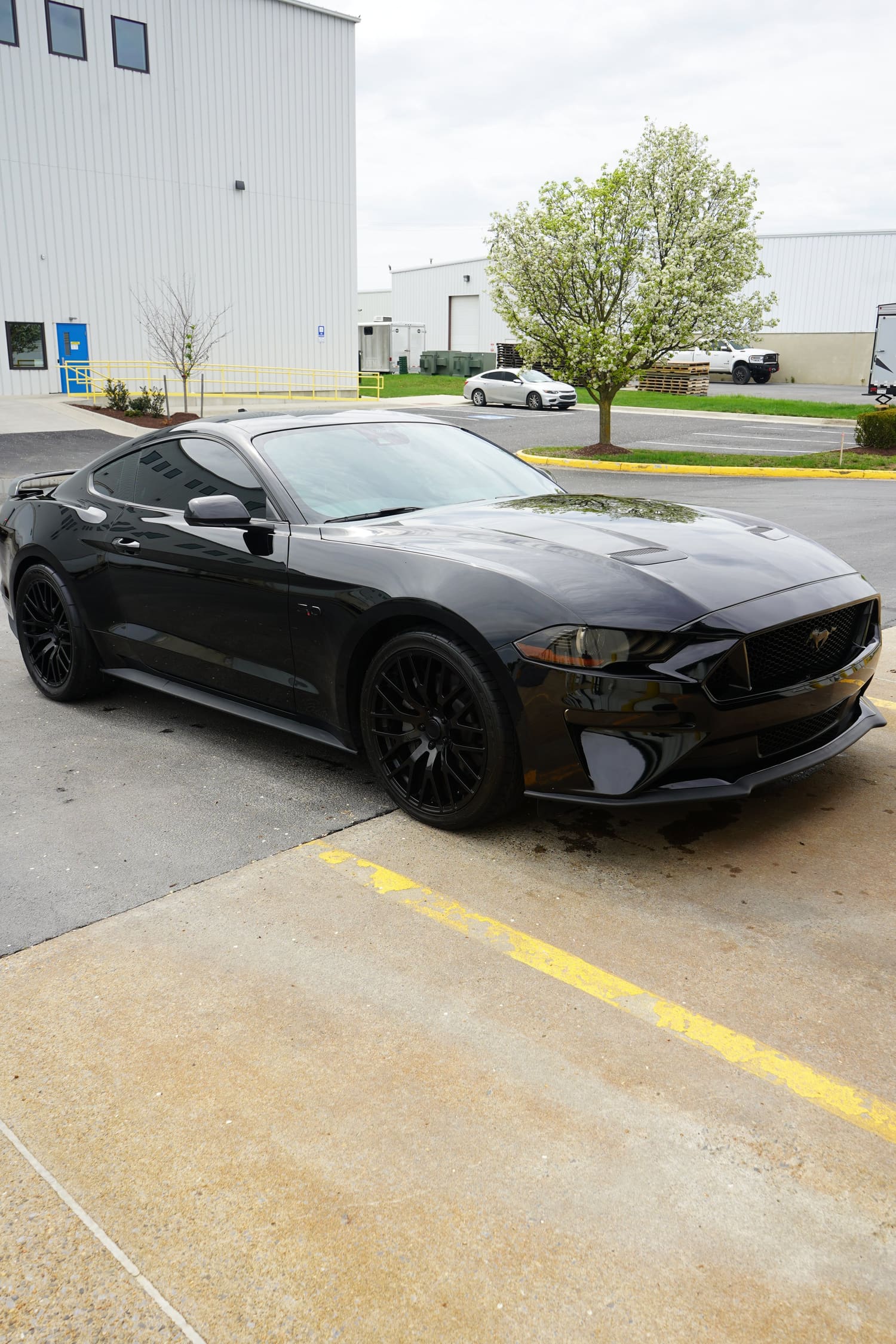 A black sports car parked in a parking lot near a commercial building with a tree and other vehicles in the background.